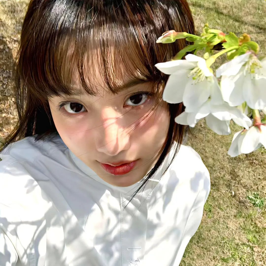 蛇与彩虹 封面