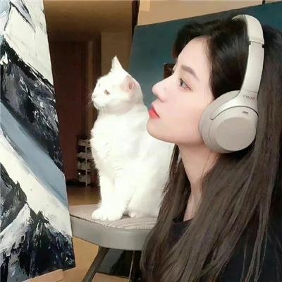 表里不一 封面